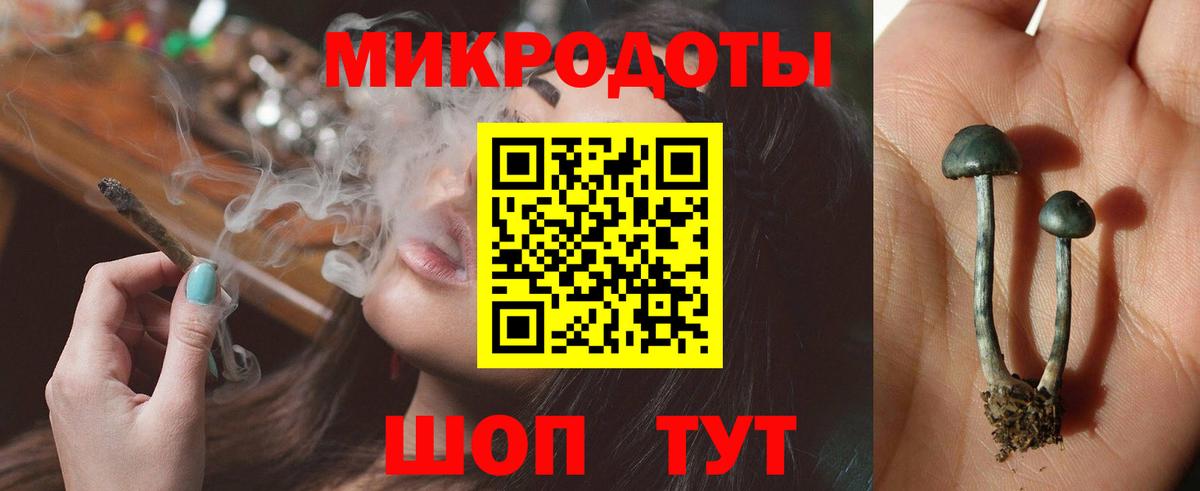 Псилоцибиновые грибы Magic Shrooms  Вход с VPN  Ярославль 
