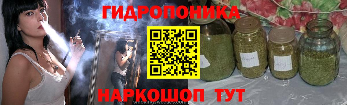 Бошки марихуана AK-47  Вход с VPN  Бошки марихуана тримм  Ярославль  Шишки марихуана гибрид 